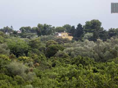 Il panorama � selvaggio, nonostante le poche eleganti ville abbarbicate sulle pareti dalla lama e a dominare sono i lecci, le roverelle, i fragni, le sughere e le piante di edera che avvolgono il �canyon�
